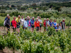La Ruta del Vino DO Empordà es el noveno territorio enoturístico más visitado de España y el segundo de Cataluña.