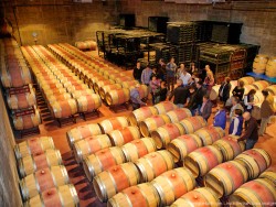 Quaranta mil enoturistes visiten els vint-i-tres cellers de la Ruta del Vi de la DO Empordà durant l’any 2015