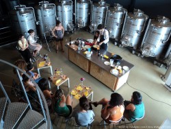 Route des vins A.O. Empordà: Le Festival vinicole Vívid engendre près d’un demi-million d’euros de retombées économiques pour la Costa Brava