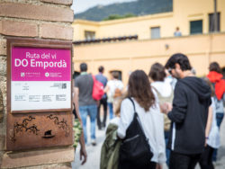 La cuarta edición del Vívid cierra con 1635 asistentes y una ocupación media del 83 % por actividad, y la Ruta del Vino DO Empordà alcanza la séptima posición en el ranking anual de la Asociación Española de Ciudades del Vino.