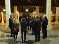 Professionals de l’enoturisme de la Costa Brava viatgen a Jerez per conèixer la ruta del vi més visitada de l’Estat espanyol