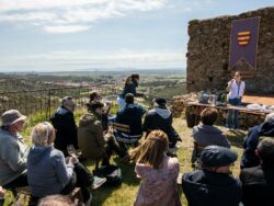 Recovery of wine tourism