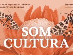 La setena edició de Som Cultura presenta quaranta propostes culturals per als caps de setmana de novembre
